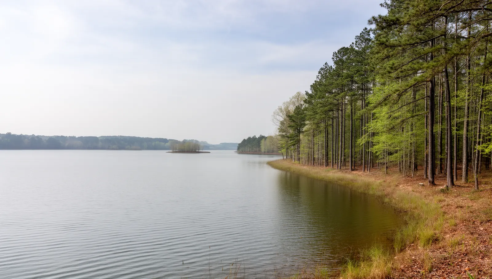Lake Gaston from the north shore, North Carolina