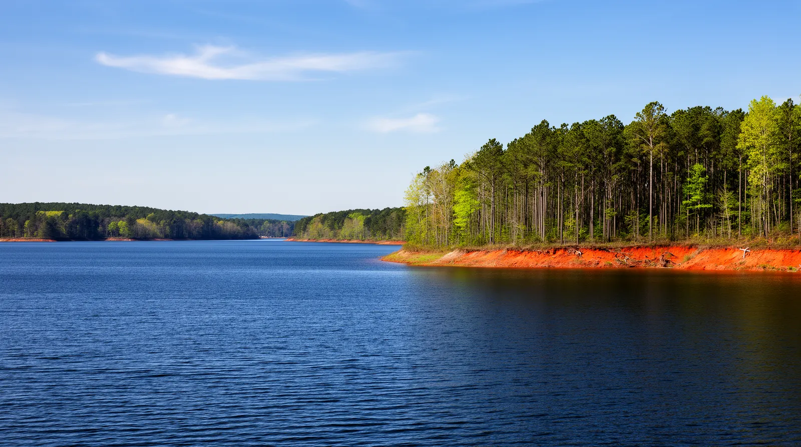 Lake Gaston on a clear morning, open blue water beside a wooded point of pines with red clay along the shoreline